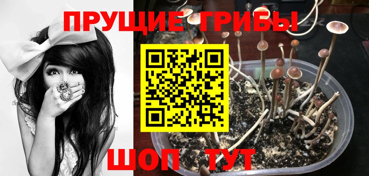 Моздок  Галлюциногенные грибы MAGIC MUSHROOMS  Псилоцибиновые грибы мухоморы  Вход с VPN 