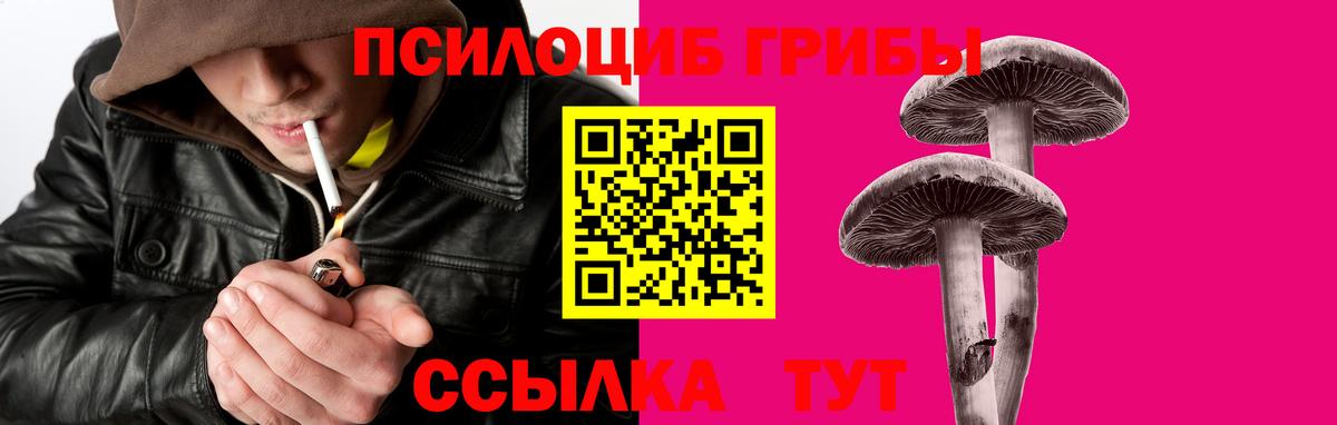 Псилоцибиновые грибы мицелий Моздок
